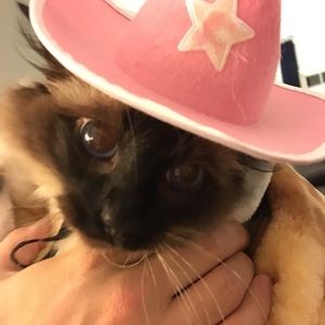 Meet your Posher, Addy